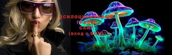 прущая мука Нефтекумск