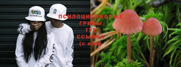 гидропоника Нея