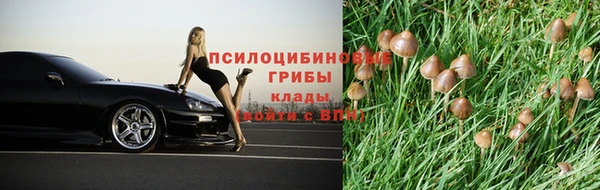 прущий лед Нефтегорск