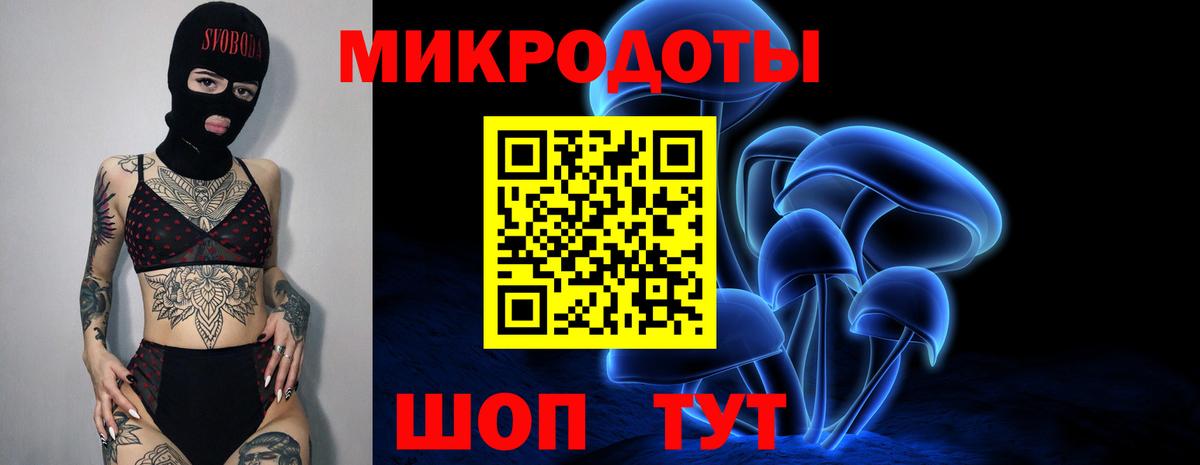 Псилоцибиновые грибы GOLDEN TEACHER Алейск