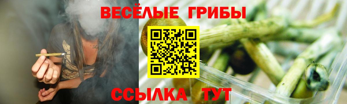 Псилоцибиновые грибы Cubensis Алейск