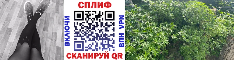 купить закладку Алейск Конопля индика